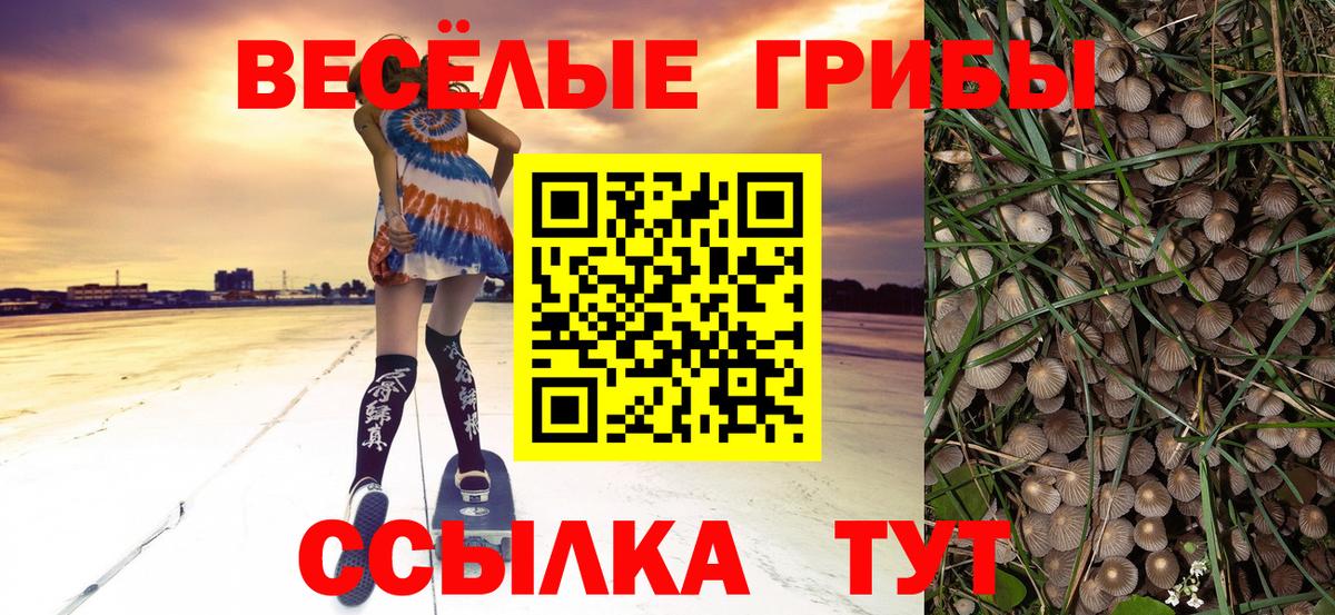 Галлюциногенные грибы Psilocybe  Вход с VPN  Чебаркуль 