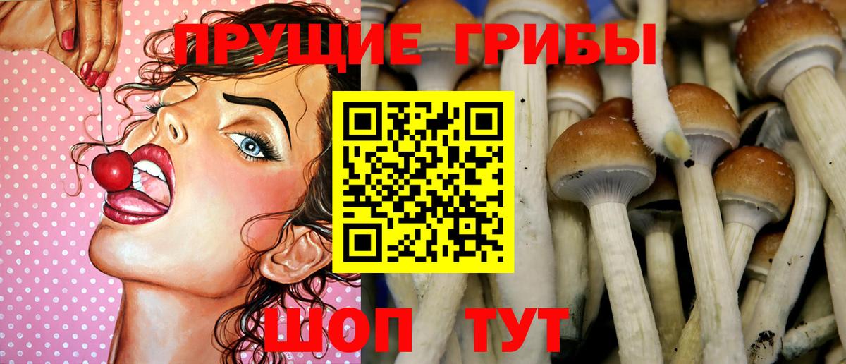 Галлюциногенные грибы прущие грибы Чебаркуль